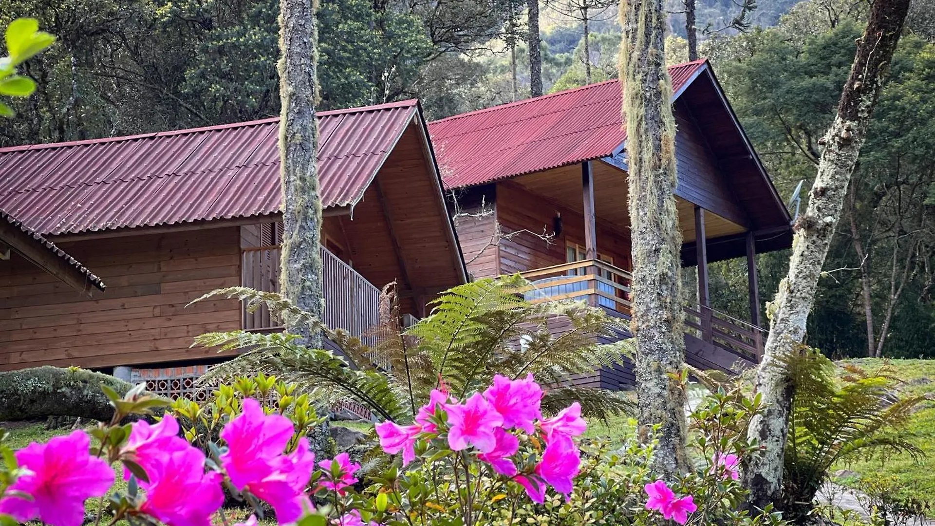Lodge Pousada Encanto Do Avencal Urubici Brazil